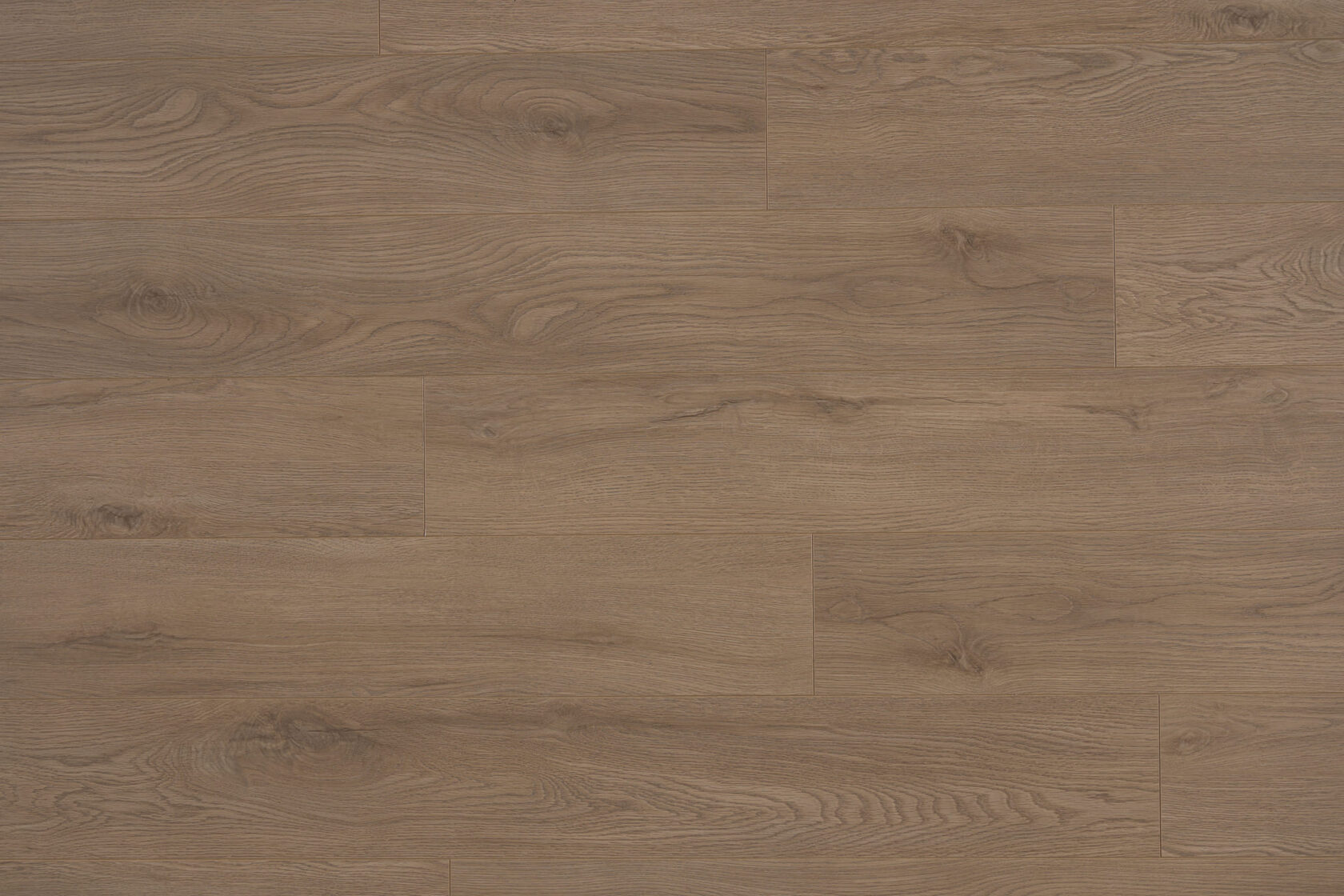 HDF ламинат Дуб Логен (Oak Logen) PR2016