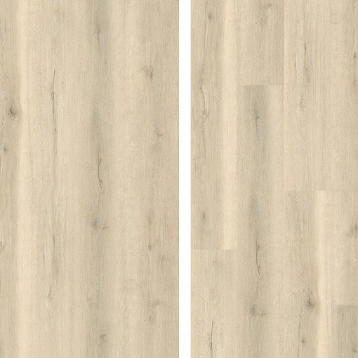 SPC ламинат Evofloor Home - Oak White (Дуб Белый) L-20096 - 5