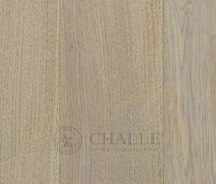 Инженерная доска Challe Дуб Шамуа (Oak Shamua)