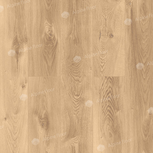 SPC Alpine Floor Premium XL Дуб Природный Изысканный ABA ECO 7-6 MC - 2
