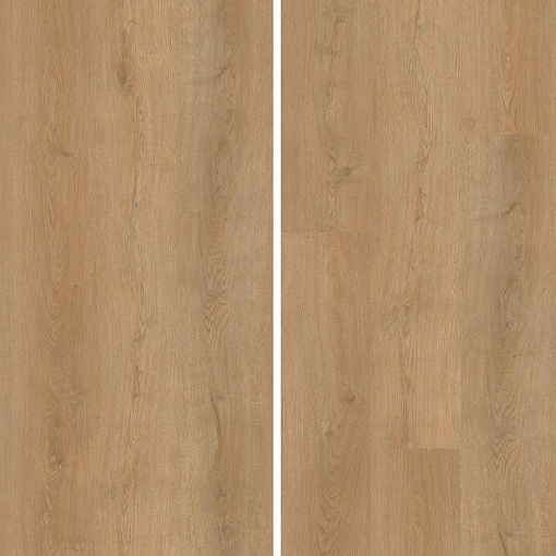 SPC ламинат Evofloor Home - Oak Honey (Дуб Медовый) L-29266 - 3