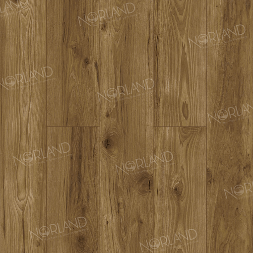 Ламинат Norland Elegant Strong Дуб Корсика LF302-18 - 3