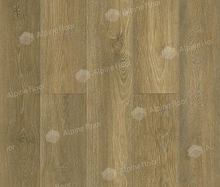 SPC Alpine Floor Classic Бук ECO 141-8 MC